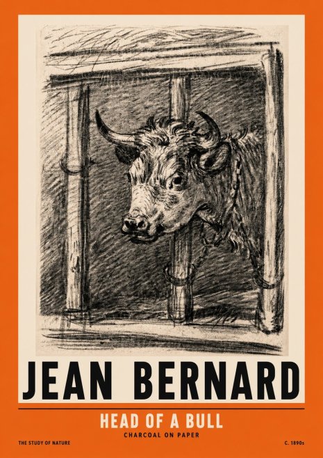 Jean Bernard Study of a Bull II No3 - Affiche
