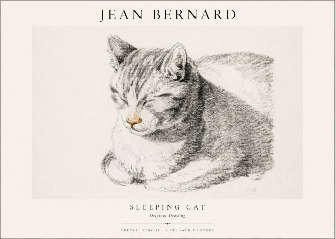 Jean Bernard Sleeping Cat VI No1 - Affiche