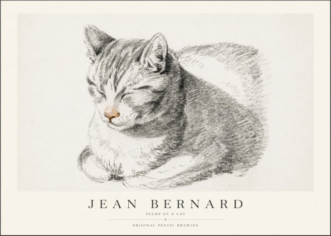 Jean Bernard Sleeping Cat VI No2 - Affiche