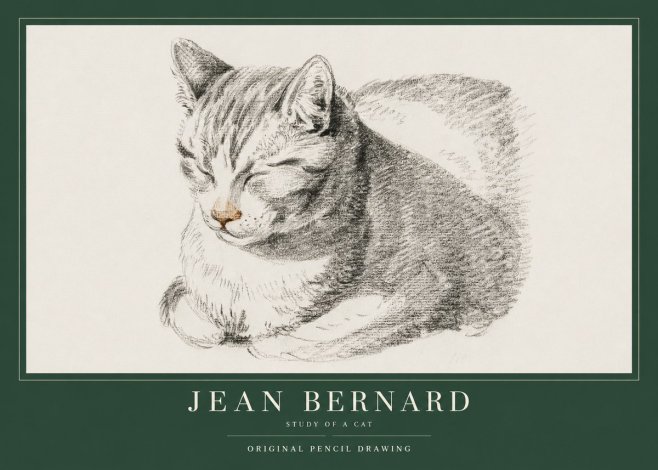Jean Bernard Sleeping Cat VI No4 - Affiche