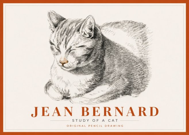 Jean Bernard Sleeping Cat VI No6 - Affiche