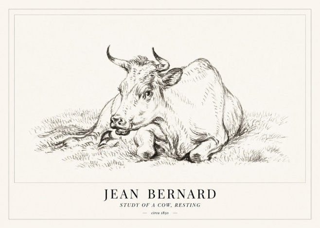 Jean Bernard Study of a Cow, Resting No1 - Affiche