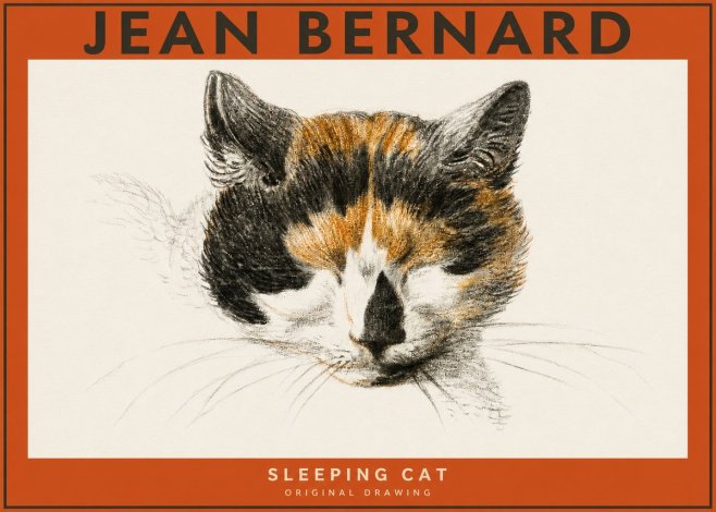 Jean Bernard Cat Study VIII No5 - Affiche