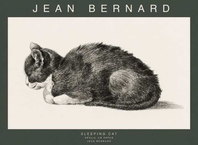 Jean Bernard Sleeping Cat VII No1 - Affiche