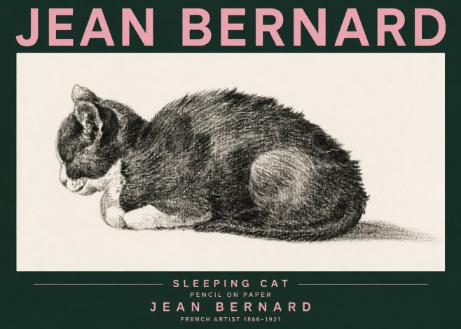 Jean Bernard Sleeping Cat VII No3 - Affiche