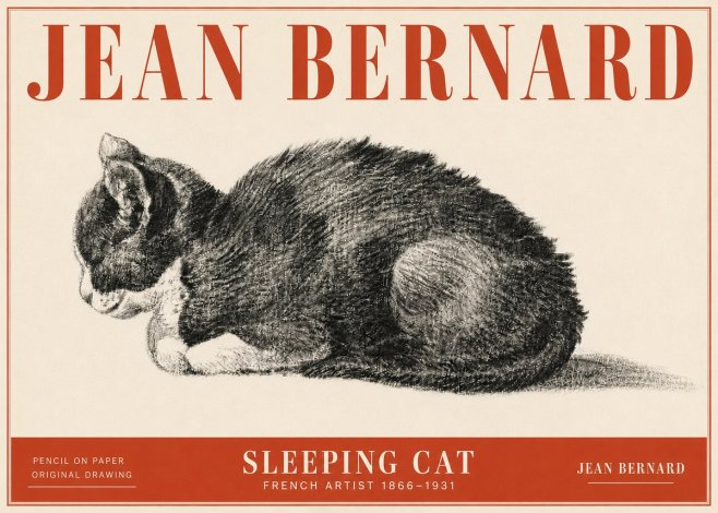 Jean Bernard Sleeping Cat VII No5 - Affiche