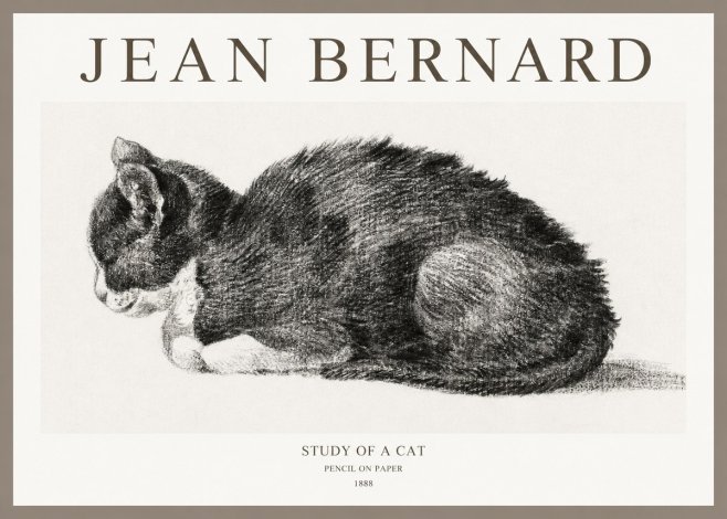 Jean Bernard Sleeping Cat VII No6 - Affiche