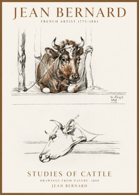 Jean Bernard Studies of Cattle III No1 - Affiche