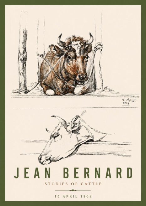 Jean Bernard Studies of Cattle III No4 - Affiche