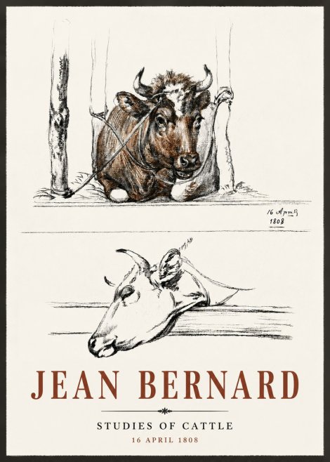 Jean Bernard Studies of Cattle III No6 - Affiche