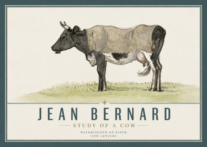 Jean Bernard Study of a Cow IX No5 - Affiche