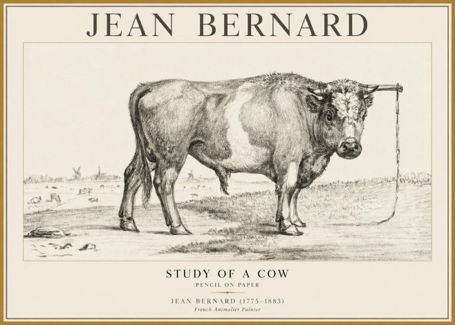 Jean Bernard Study of a Bull III No5 - Affiche