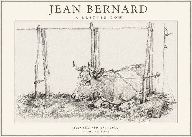 Jean Bernard A Resting Cow No1 - Affiche