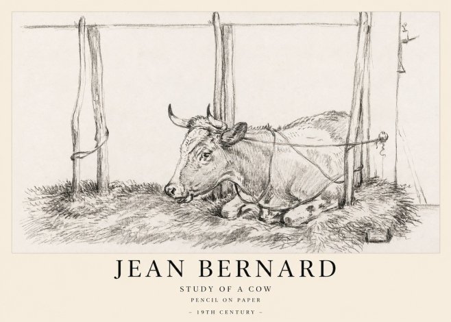 Jean Bernard A Resting Cow No2 - Affiche