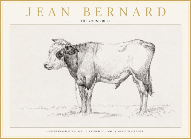 Jean Bernard The Young Bull No1 - Affiche