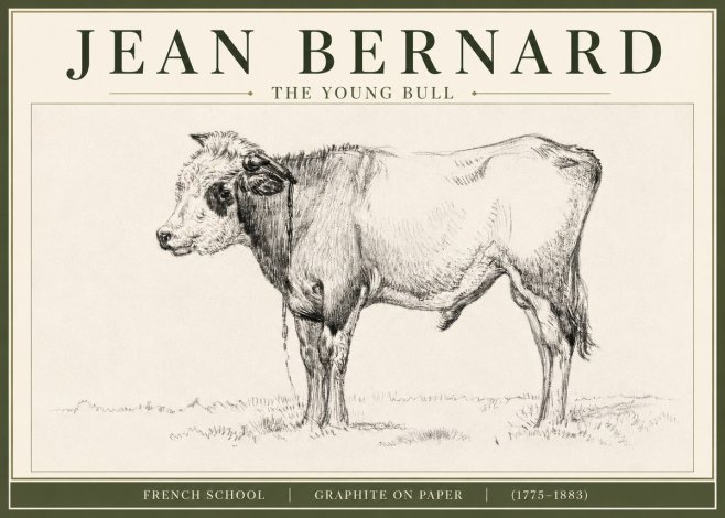 Jean Bernard The Young Bull No3 - Affiche