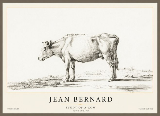 Jean Bernard Study of a Cow XI No1 - Affiche