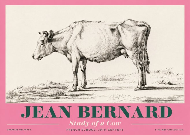Jean Bernard Study of a Cow XI No4 - Affiche