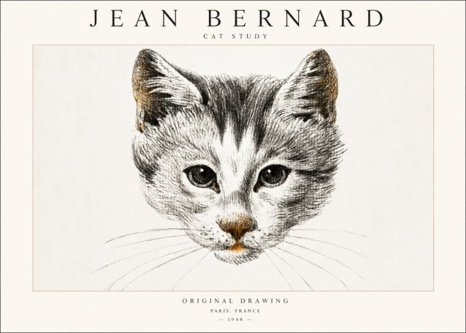 Jean Bernard Cat Study IX No6 - Affiche