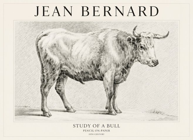 Jean Bernard Study of a Bull IV No1 - Affiche
