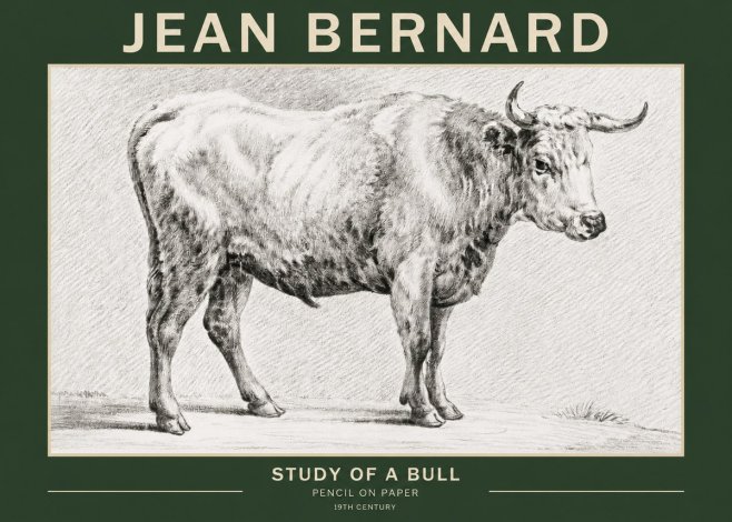 Jean Bernard Study of a Bull IV No2 - Affiche