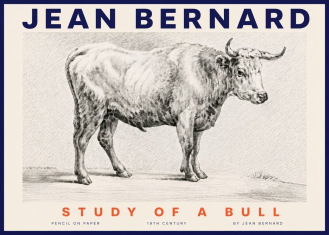 Jean Bernard Study of a Bull IV No4 - Affiche