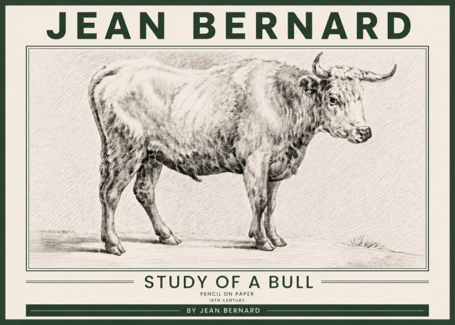 Jean Bernard Study of a Bull IV No5 - Affiche