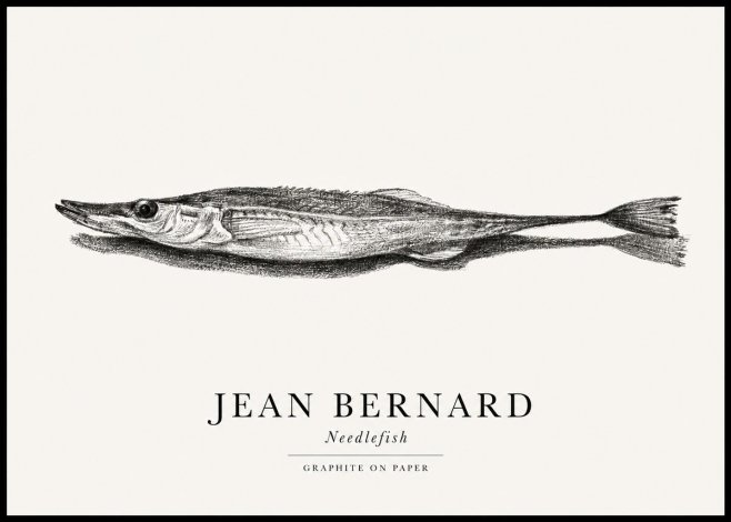 Jean Bernard Needlefish No1 - Affiche