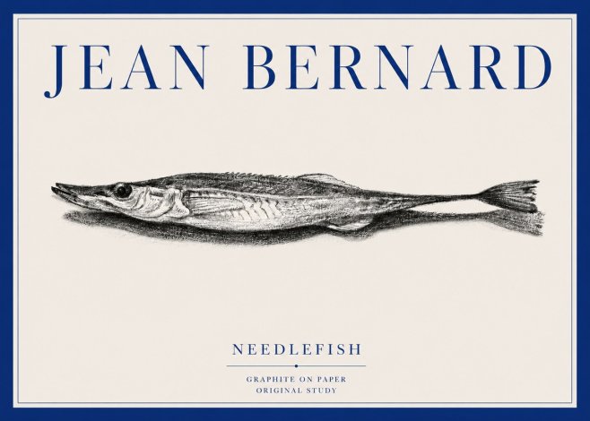 Jean Bernard Needlefish No3 - Affiche