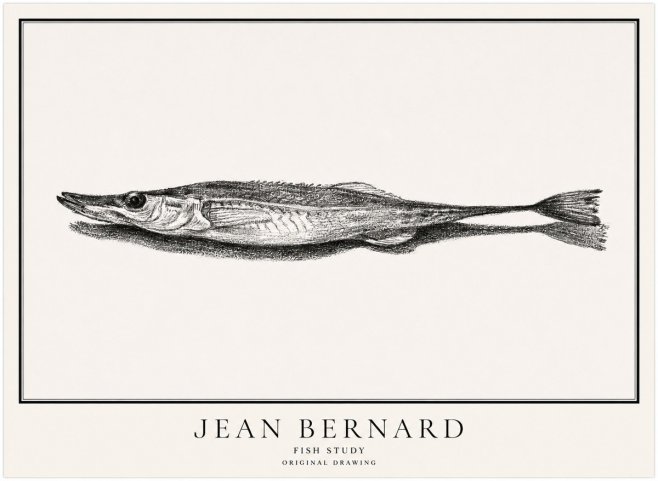 Jean Bernard Needlefish No5 - Affiche