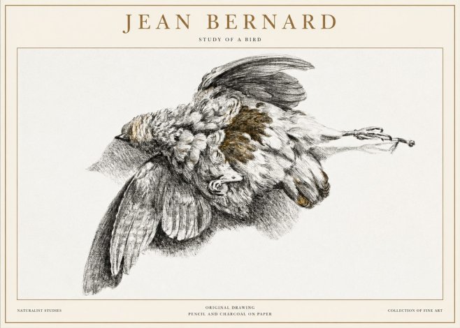 Jean Bernard Study of a Bird III No1 - Affiche