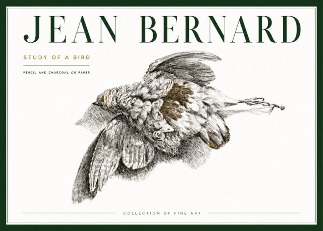 Jean Bernard Study of a Bird III No4 - Affiche