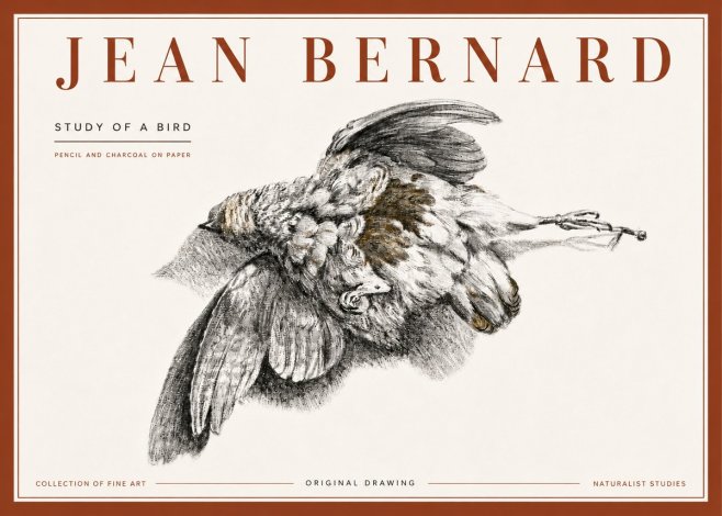 Jean Bernard Study of a Bird III No6 - Affiche