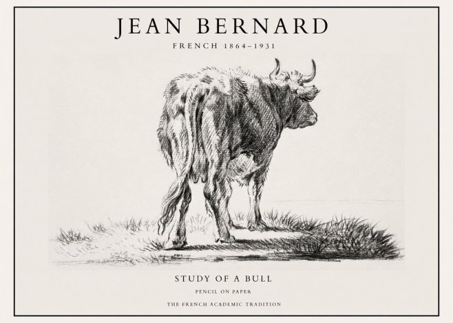 Jean Bernard Study of a Bull V No1 - Affiche