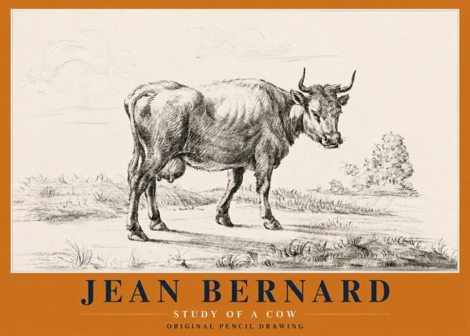 Jean Bernard Study of a Cow XII No2 - Affiche