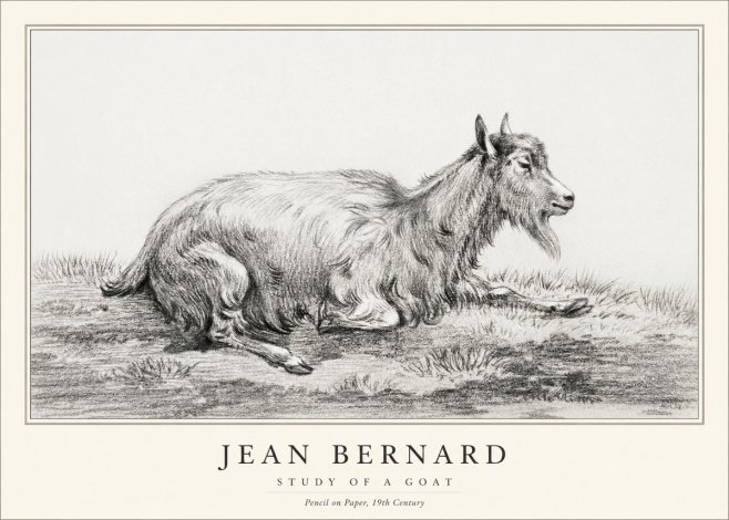 Jean Bernard Study of a Goat V No1 - Affiche