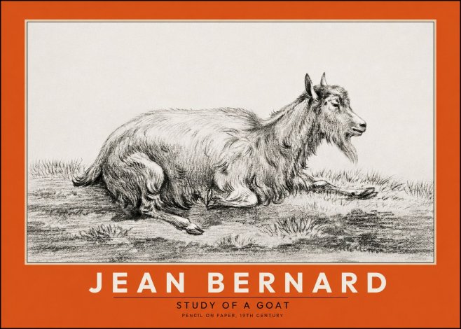 Jean Bernard Study of a Goat V No2 - Affiche