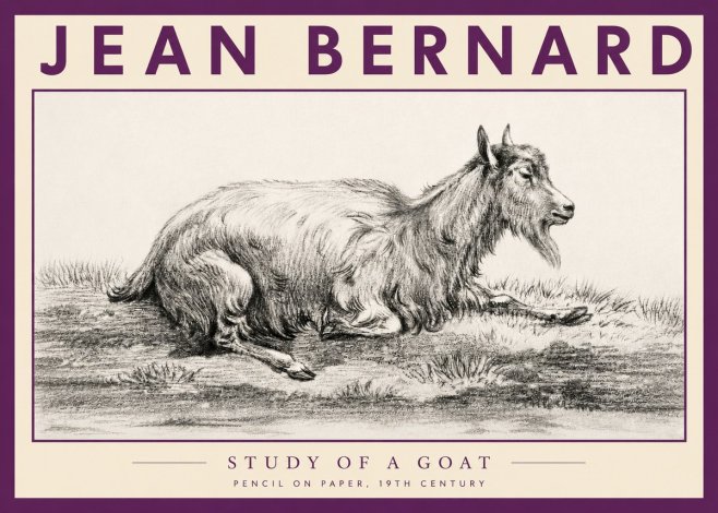 Jean Bernard Study of a Goat V No3 - Affiche