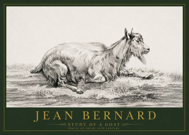 Jean Bernard Study of a Goat V No4 - Affiche
