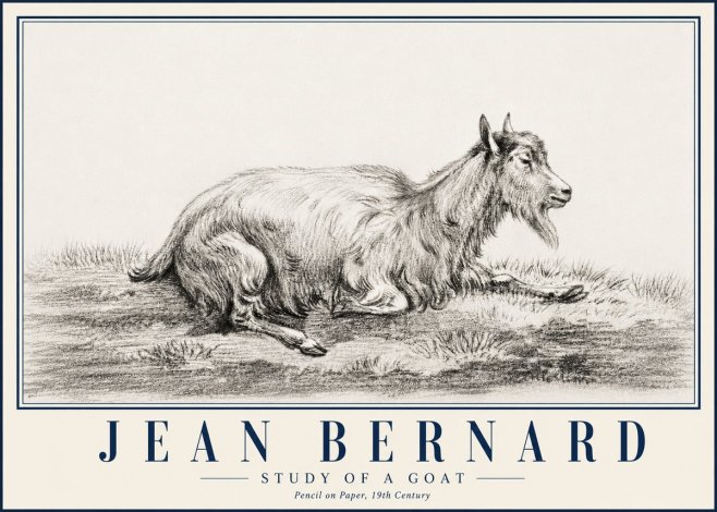 Jean Bernard Study of a Goat V No5 - Affiche