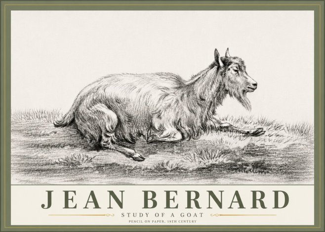 Jean Bernard Study of a Goat V No6 - Affiche