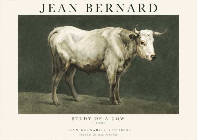 Jean Bernard Study of a Cow C. 1890 No1 - Affiche