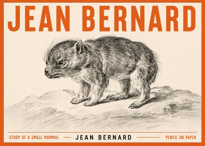 Jean Bernard Study of a Small Mammal No3 - Affiche