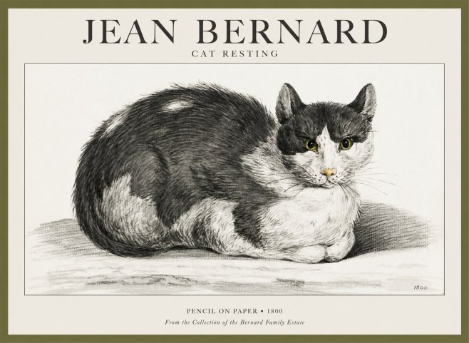 Jean Bernard Cat Resting No1 - Affiche
