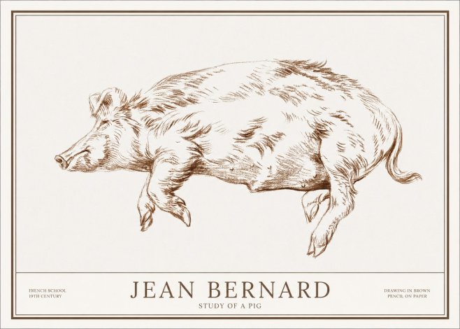 Jean Bernard Study of a Pig II No1 - Affiche