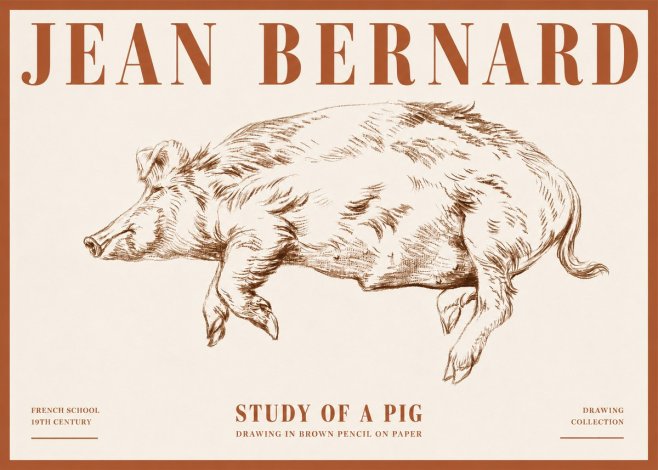Jean Bernard Study of a Pig II No4 - Affiche