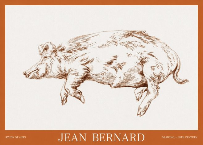 Jean Bernard Study of a Pig II No6 - Affiche