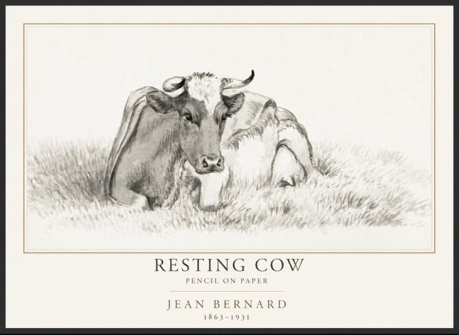 Jean Bernard Resting Cow IV No1 - Affiche