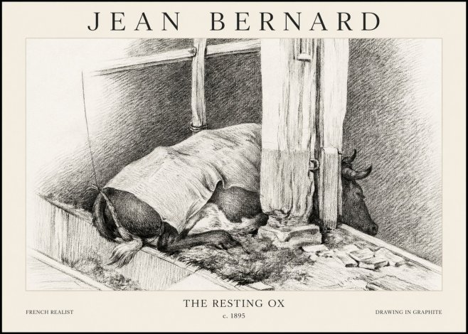 Jean Bernard The Resting Ox No1 - Affiche