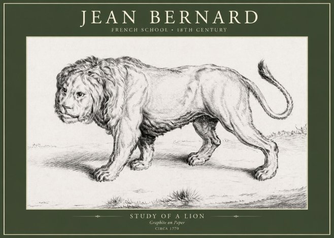 Jean Bernard Study of a Lion II No5 - Affiche